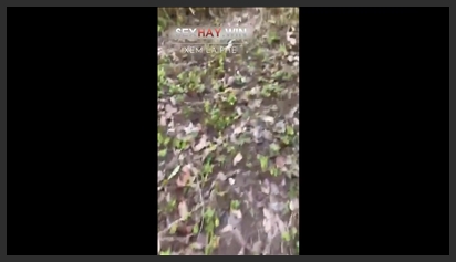Couple fucking in the forest, extremely enjoyable