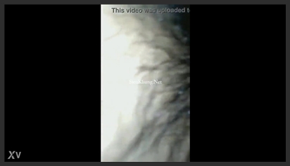 Clip: Oh my god, I’m going to die! I meant to have sex with you, but I like oral sex =))