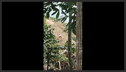 A couple went up the mountain for a holiday and immersed themselves in nature right on a pile of sand.