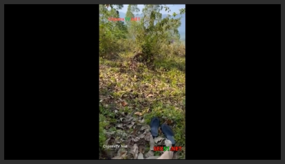 Luring My Girlfriend into the Forest and Then Having Sex