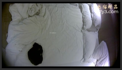 Leaked footage from a bed-and-breakfast security camera shows a brother-in-law and his college-student sister-in-law having an affair