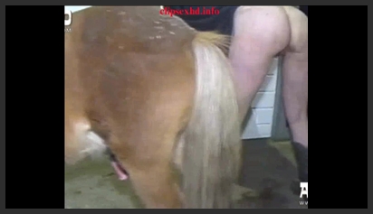 Young Girl Has Sex with a Pig