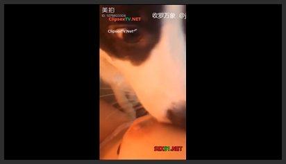 Chinese Girls Keep Dogs Just to Have Sex
