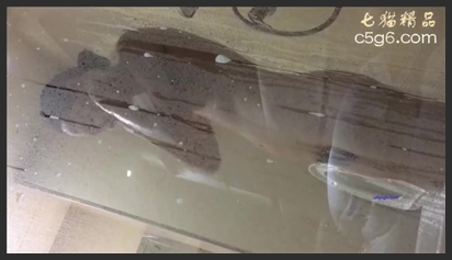 A mischievous younger brother was caught by his older sister while secretly filming her shower through the glass; she snatched his phone away.