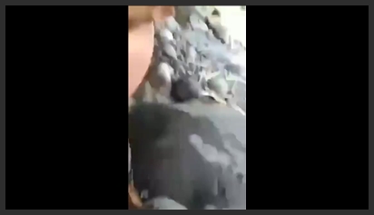 Group of young people have sex by the stream, extremely exciting