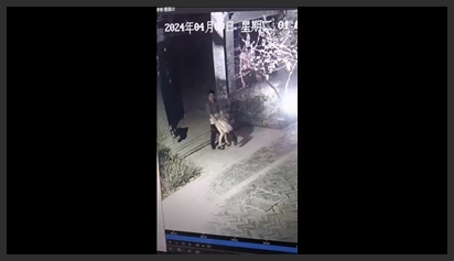 Secretly filmed: Couple having sex openly on the sidewalk at night