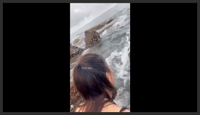 Fucking doggy style with my big-butt, slutty girlfriend on the beach