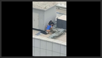 On the rooftop, they had sex.