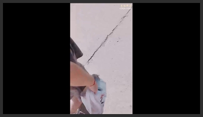 Mature Woman, Professional Cock-Hunter, Flirting with Farmers Everywhere, Big-Titted Slut Having Wild Sex Outdoors, Almost Got Rided to Death by an Old Man?It?s Hilarious